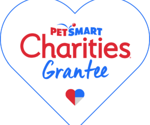 Petsmart Charities Donates $70,000 to Lost Our Home Pet Rescue  