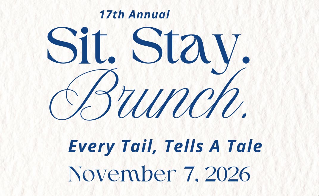 sit-stay-brunch-2027-nonbanner